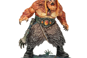 WARHAMMER QUEST :DARKWATER DRASHER VORN